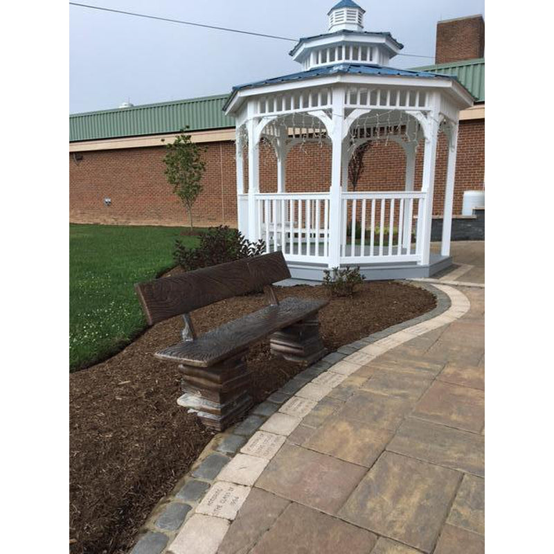 Bronze Book Buddy Bench with Back for Libraries and Schools
