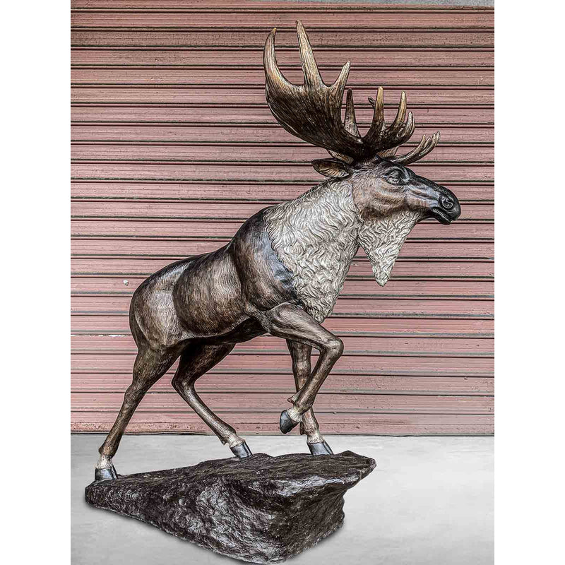 Bronze Moose Sculpture - Special Patina-Custom Bronze Statues & Fountains for Sale-Randolph Rose Collection