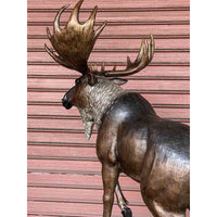 Bronze Moose Sculpture - Special Patina