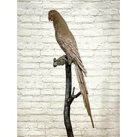 Parrot on Branch-Custom Bronze Statues & Fountains for Sale-Randolph Rose Collection