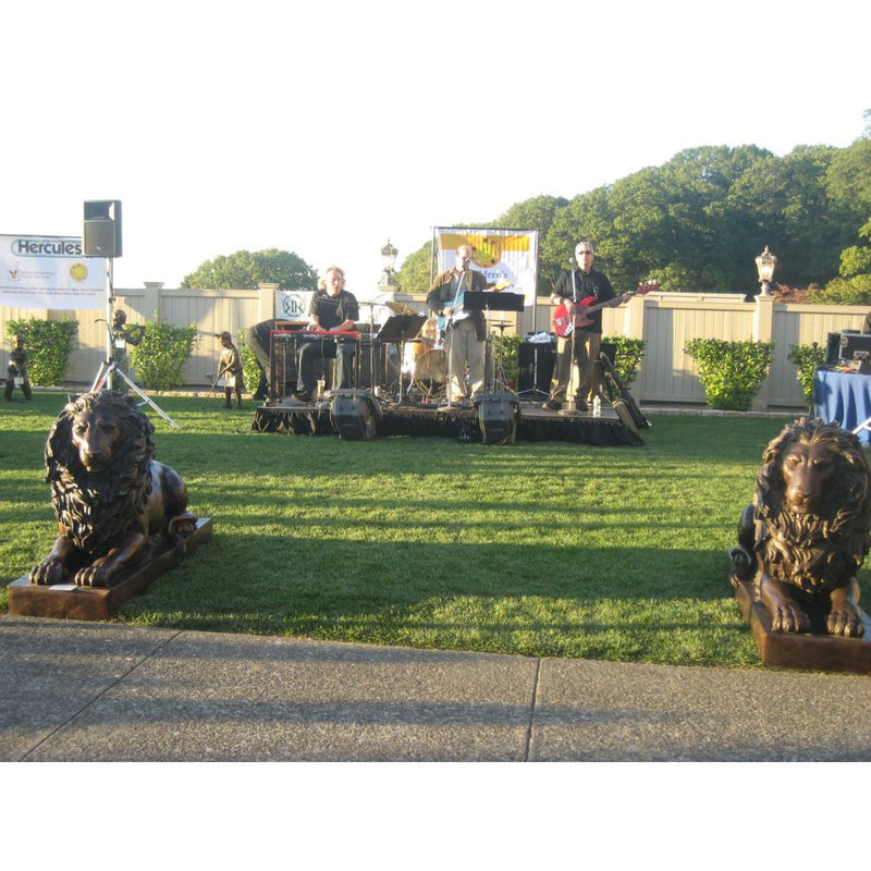 Pair of Bronze Lion Statues and Bronze Lion Sculpture