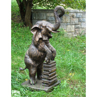 Bronze Statue of an Elephant Reading  Books