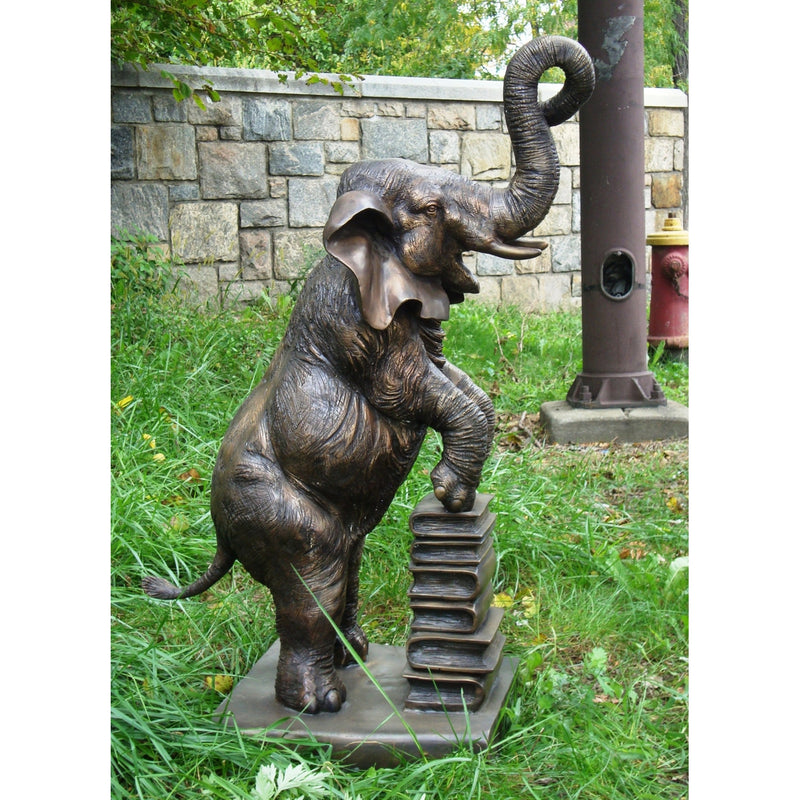 Bronze Statue of an Elephant Reading  Books