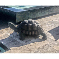 Bronze Tortoise Sculpture-Custom Bronze Statues & Fountains for Sale-Randolph Rose Collection