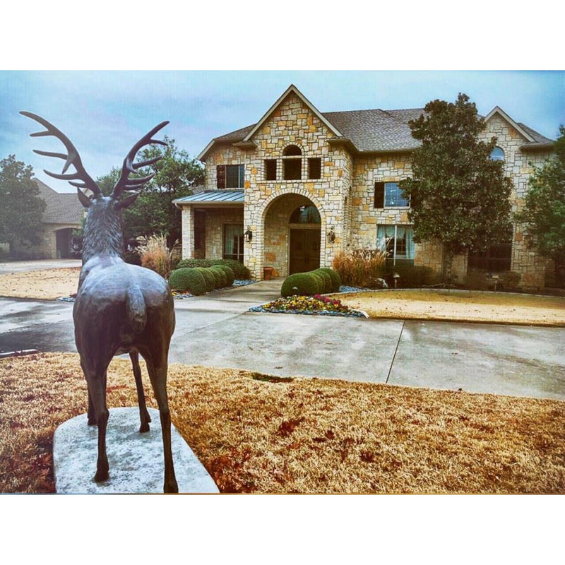 Life-Size Standing Elk Statue-Custom Bronze Statues & Fountains for Sale-Randolph Rose Collection