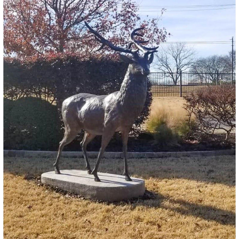 Life-Size Standing Elk Statue-Custom Bronze Statues & Fountains for Sale-Randolph Rose Collection