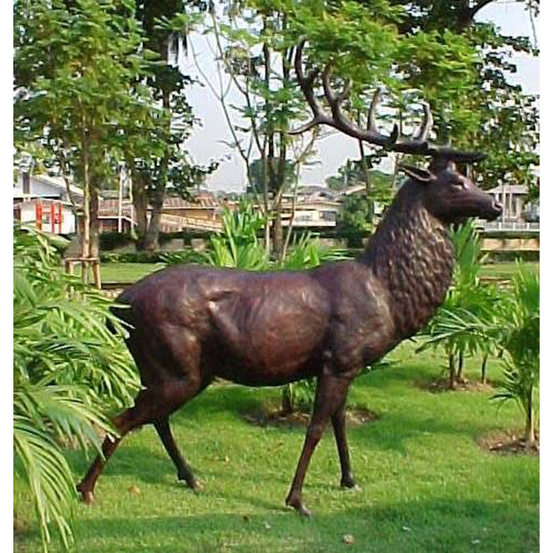 Bronze Statue of a Standing Elk -Deer