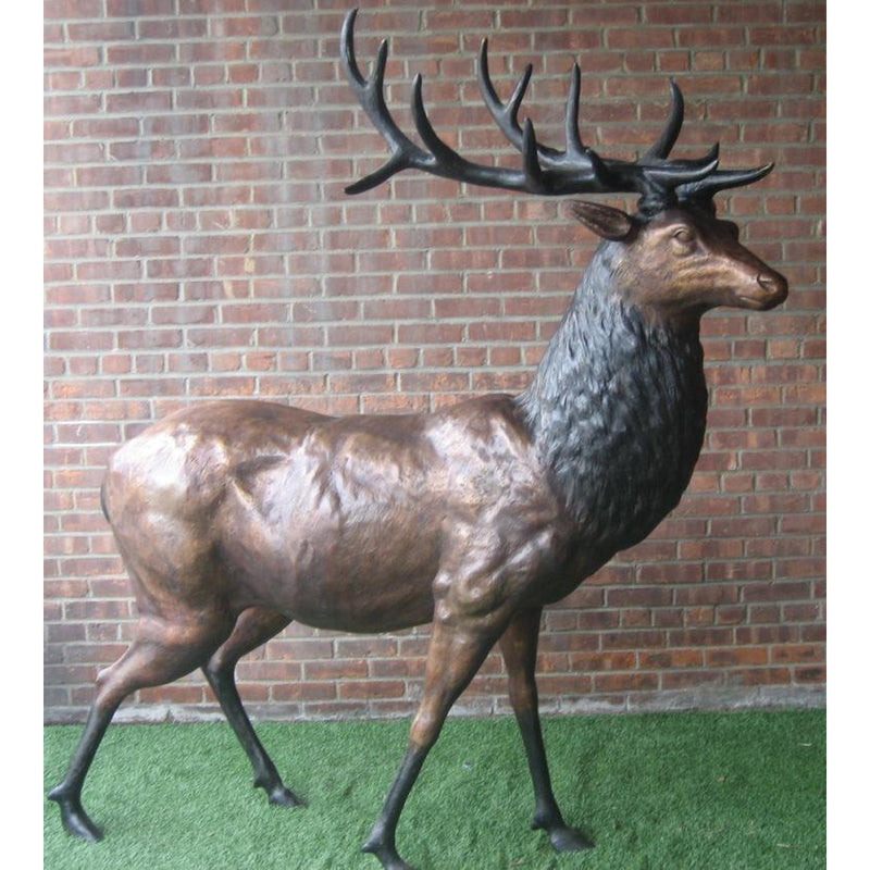 Bronze Statue of a Standing Elk -Deer