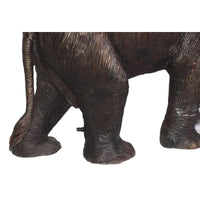 Elephant Pointing Trunk