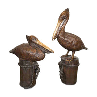 Pair of Pelicans Sitting & Standing