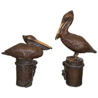 Pair of Pelicans Sitting & Standing