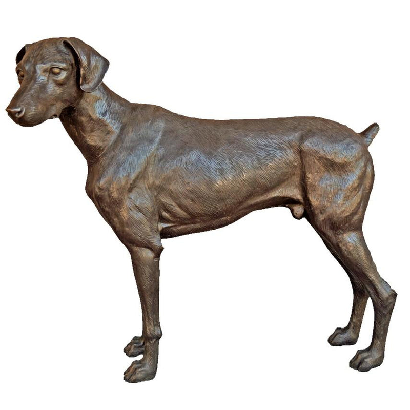 Doberman Pinscher Dog Statue