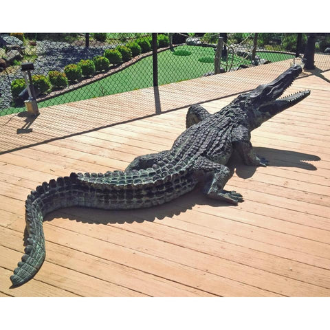 Large Walking Alligator