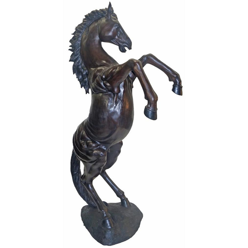 Rearing Bronze Horse Sculpture