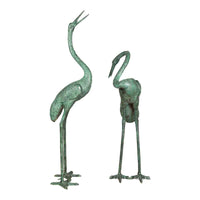 Pair of Cranes Talking