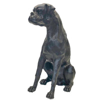 Bronze Boxer Dog Statue