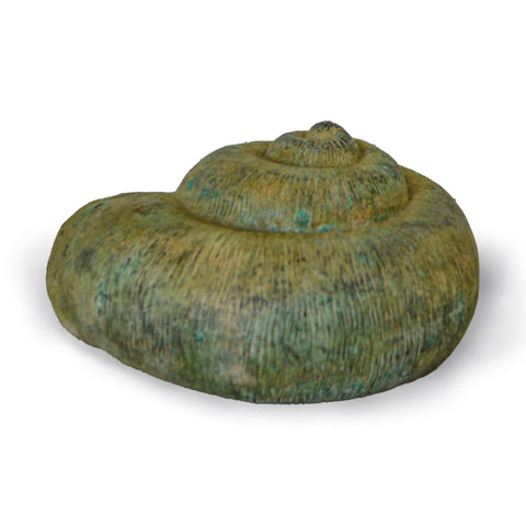 Bronze Snail Shell