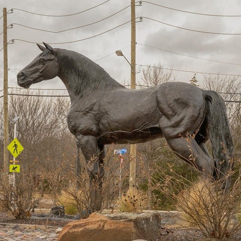 Horse Family - Mare and Foal Sculptures