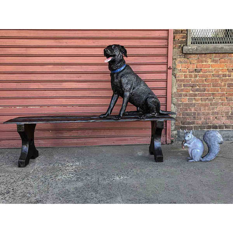 Labrador Jack on Bench