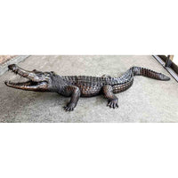 Growling Alligator