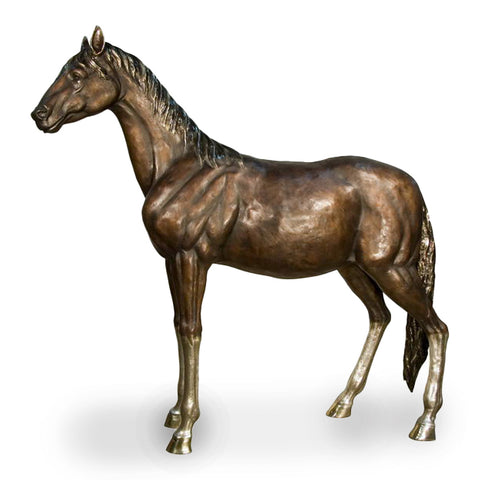 Horse Standing in Two-Tone Patina (Large)