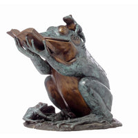 Bronze Frog Statue Reading