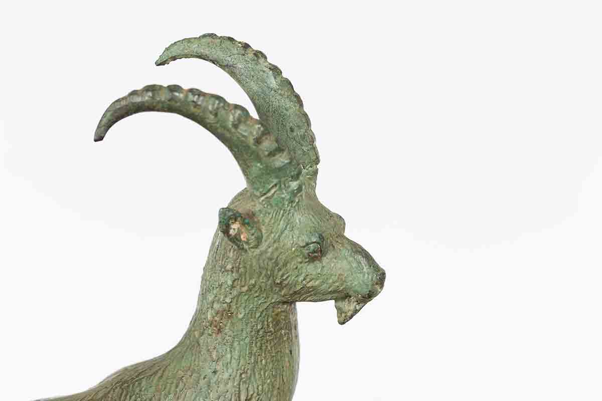 TLSS TACTIAN GOAT マカロングリーン 26cm VT Billy Goat KD512SP Self Propelled Lawn Vacuum