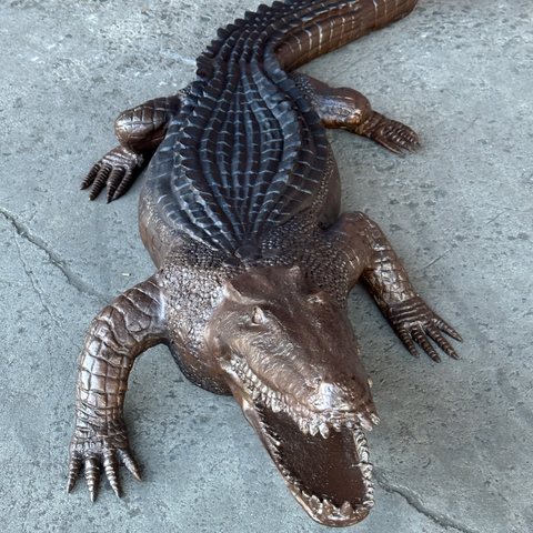 Brown Alligator