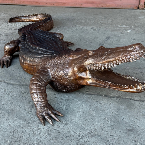 Brown Alligator