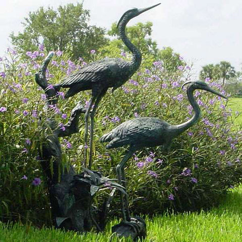 Cranes / Herons on Island