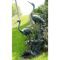 Pair of Herons on Island