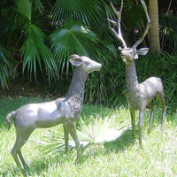 Stag & Doe