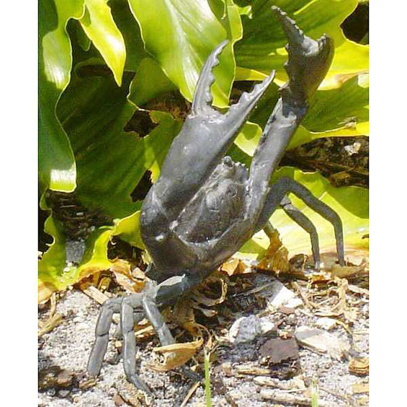 Crab-Custom Bronze Statues & Fountains for Sale-Randolph Rose Collection